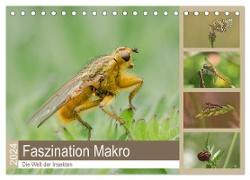Faszination Makro - Die Welt der Insekten (Tischkalender 2024 DIN A5 quer), CALVENDO Monatskalender