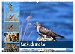 Kuckuck und Co - Heimische Vögel, die man selten sieht - Jahresplaner 2024 (Wandkalender 2024 DIN A2 quer), CALVENDO Monatskalender