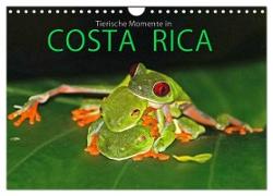 COSTA RICA - Tierische Momente (Wandkalender 2024 DIN A4 quer), CALVENDO Monatskalender