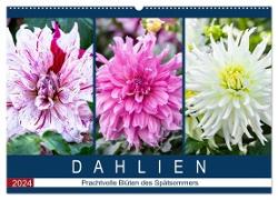 Dahlien - Prachtvolle Blüten des Spätsommers (Wandkalender 2024 DIN A2 quer), CALVENDO Monatskalender