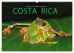 COSTA RICA - Tierische Momente (Wandkalender 2024 DIN A2 quer), CALVENDO Monatskalender