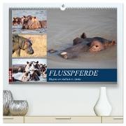 Hippos im südlichen Afrika (hochwertiger Premium Wandkalender 2024 DIN A2 quer), Kunstdruck in Hochglanz