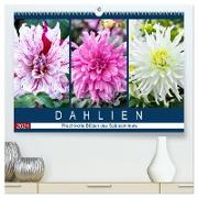 Dahlien - Prachtvolle Blüten des Spätsommers (hochwertiger Premium Wandkalender 2024 DIN A2 quer), Kunstdruck in Hochglanz