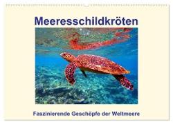 Meeresschildkröten ¿ Faszinierende Geschöpfe der Weltmeere (Wandkalender 2024 DIN A2 quer), CALVENDO Monatskalender