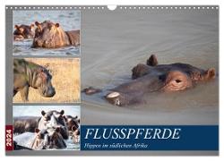 Hippos im südlichen Afrika (Wandkalender 2024 DIN A3 quer), CALVENDO Monatskalender
