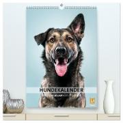 Hundekalender - Hunderassen im Portrait (hochwertiger Premium Wandkalender 2024 DIN A2 hoch), Kunstdruck in Hochglanz