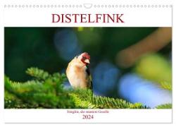 Distelfink (Wandkalender 2024 DIN A3 quer), CALVENDO Monatskalender