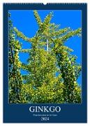 Ginkgo (Wandkalender 2024 DIN A2 hoch), CALVENDO Monatskalender