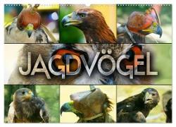 Jagdvögel (Wandkalender 2024 DIN A2 quer), CALVENDO Monatskalender