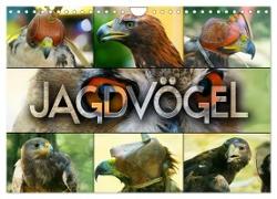Jagdvögel (Wandkalender 2024 DIN A4 quer), CALVENDO Monatskalender