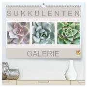 Sukkulenten Galerie (hochwertiger Premium Wandkalender 2024 DIN A2 quer), Kunstdruck in Hochglanz