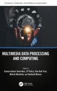 Multimedia Data Processing and Computing