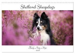 Shetland Sheepdogs Blacky, Anry, Mojo 2024 (Wandkalender 2024 DIN A3 quer), CALVENDO Monatskalender