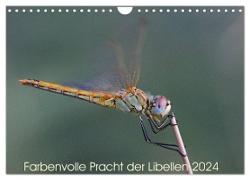 Farbenvolle Pracht der Libellen (Wandkalender 2024 DIN A4 quer), CALVENDO Monatskalender