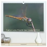 Farbenvolle Pracht der Libellen (hochwertiger Premium Wandkalender 2024 DIN A2 quer), Kunstdruck in Hochglanz