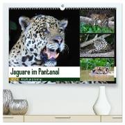 Jaguare im Pantanal (hochwertiger Premium Wandkalender 2024 DIN A2 quer), Kunstdruck in Hochglanz