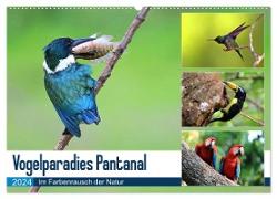 Vogelparadies Pantanal (Wandkalender 2024 DIN A2 quer), CALVENDO Monatskalender
