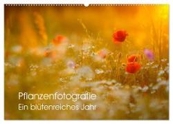 Pflanzenfotografie - Ein blütenreiches Jahr (Wandkalender 2024 DIN A2 quer), CALVENDO Monatskalender