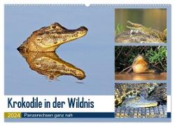 Krokodile in der Wildnis (Wandkalender 2024 DIN A2 quer), CALVENDO Monatskalender