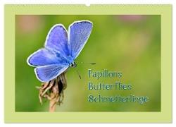 Papillons-Butterflies-Schmetterlinge (Wandkalender 2024 DIN A2 quer), CALVENDO Monatskalender