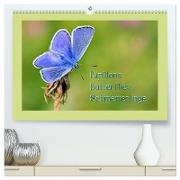 Papillons-Butterflies-Schmetterlinge (hochwertiger Premium Wandkalender 2024 DIN A2 quer), Kunstdruck in Hochglanz