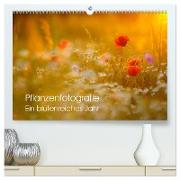 Pflanzenfotografie - Ein blütenreiches Jahr (hochwertiger Premium Wandkalender 2024 DIN A2 quer), Kunstdruck in Hochglanz
