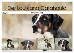 Der Louisiana Catahoula Leopard Dog (Wandkalender 2024 DIN A2 quer), CALVENDO Monatskalender