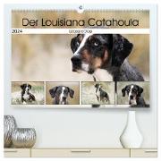 Der Louisiana Catahoula Leopard Dog (hochwertiger Premium Wandkalender 2024 DIN A2 quer), Kunstdruck in Hochglanz