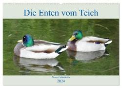 Die Enten vom Teich (Wandkalender 2024 DIN A2 quer), CALVENDO Monatskalender