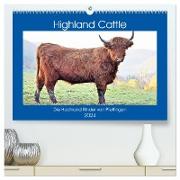 Highland Cattle, die Hochlandrinder aus Pfeffingen (hochwertiger Premium Wandkalender 2024 DIN A2 quer), Kunstdruck in Hochglanz