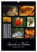 Sprache in Bildern - Collagen aus der Natur (Wandkalender 2024 DIN A3 hoch), CALVENDO Monatskalender