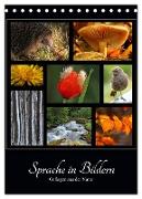 Sprache in Bildern - Collagen aus der Natur (Tischkalender 2024 DIN A5 hoch), CALVENDO Monatskalender