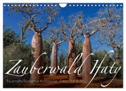 Zauberwald Ifaty · Traumhafte Baobabs in Madagaskar (Wandkalender 2024 DIN A4 quer), CALVENDO Monatskalender