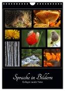 Sprache in Bildern - Collagen aus der Natur (Wandkalender 2024 DIN A4 hoch), CALVENDO Monatskalender