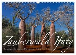 Zauberwald Ifaty · Traumhafte Baobabs in Madagaskar (Wandkalender 2024 DIN A3 quer), CALVENDO Monatskalender