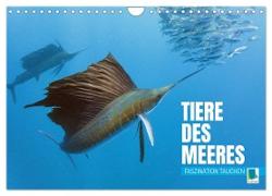 Tiere des Meeres: Faszination Tauchen (Wandkalender 2024 DIN A4 quer), CALVENDO Monatskalender