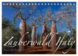Zauberwald Ifaty · Traumhafte Baobabs in Madagaskar (Tischkalender 2024 DIN A5 quer), CALVENDO Monatskalender