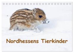 Nordhessens Tierkinder (Tischkalender 2024 DIN A5 quer), CALVENDO Monatskalender