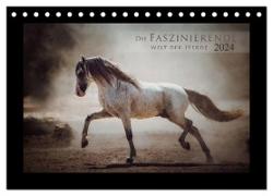 Die Faszinierende Welt der Pferde (Tischkalender 2024 DIN A5 quer), CALVENDO Monatskalender