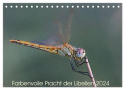 Farbenvolle Pracht der Libellen (Tischkalender 2024 DIN A5 quer), CALVENDO Monatskalender