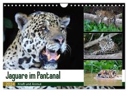 Jaguare im Pantanal (Wandkalender 2024 DIN A4 quer), CALVENDO Monatskalender