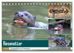 Riesenotter - Flusswölfe im Pantanal (Tischkalender 2024 DIN A5 quer), CALVENDO Monatskalender