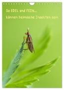 So EDEL und FEIN... können heimische Insekten sein (Wandkalender 2024 DIN A4 hoch), CALVENDO Monatskalender
