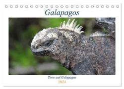 Galapagos 2024 - Tiere auf Galapagos (Tischkalender 2024 DIN A5 quer), CALVENDO Monatskalender
