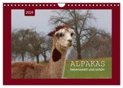 Alpakas - liebenswert und schön (Wandkalender 2024 DIN A4 quer), CALVENDO Monatskalender