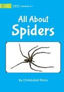 All About Spiders