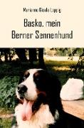 Basko, mein Berner Sennenhund