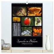Sprache in Bildern - Collagen aus der Natur (hochwertiger Premium Wandkalender 2024 DIN A2 hoch), Kunstdruck in Hochglanz