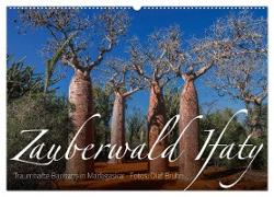 Zauberwald Ifaty · Traumhafte Baobabs in Madagaskar (Wandkalender 2024 DIN A2 quer), CALVENDO Monatskalender
