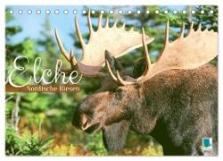 Elche: Nordische Riesen (Tischkalender 2024 DIN A5 quer), CALVENDO Monatskalender